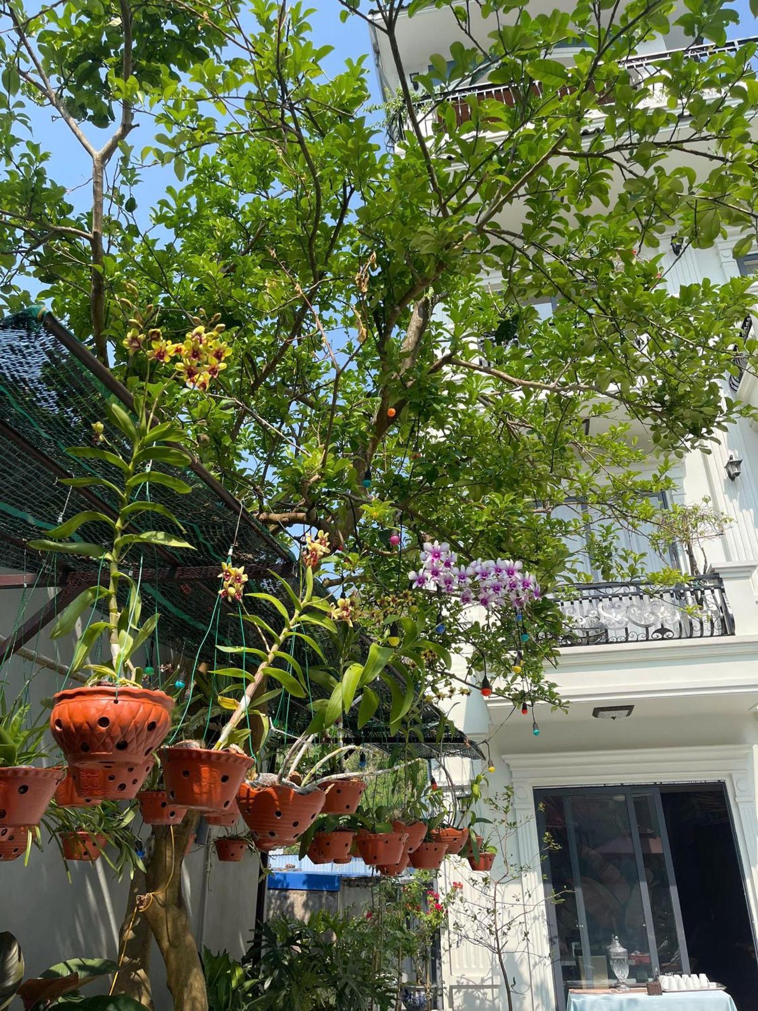 Lynh'S Villa Dong Khe Sau Dış mekan fotoğraf